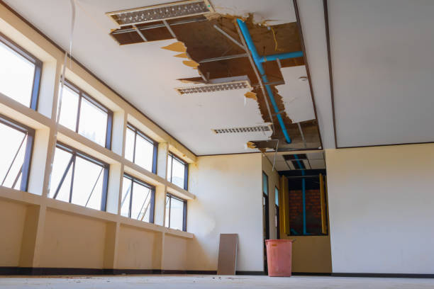 Best Professional water damage repair  in Longtown, OK