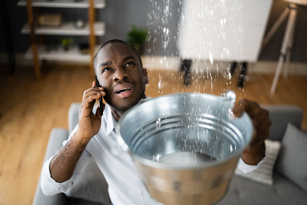 Best Flood damage cleanup  in Longtown, OK
