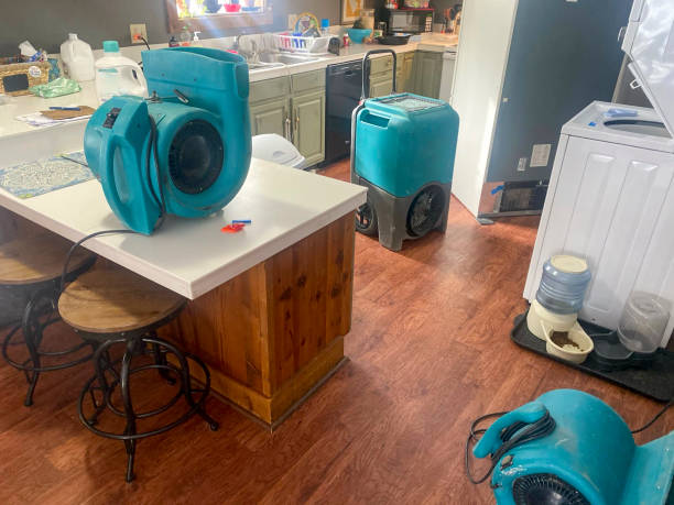 Best Local water damage restoration  in Longtown, OK