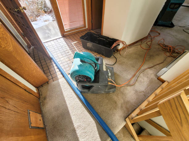 Best Professional water damage repair  in Longtown, OK