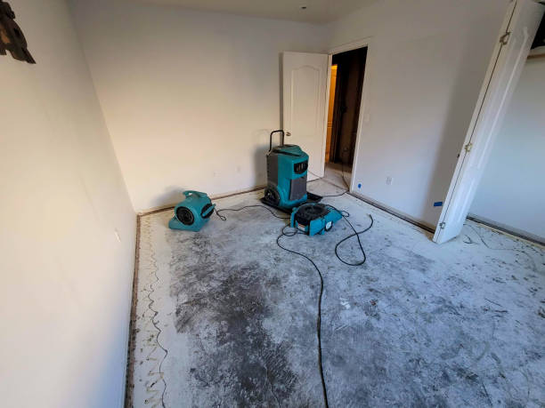 Best Flood restoration services  in Longtown, OK