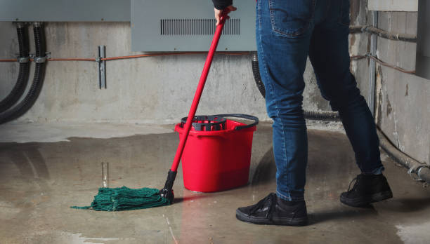 Best Mold removal after water damage  in Longtown, OK
