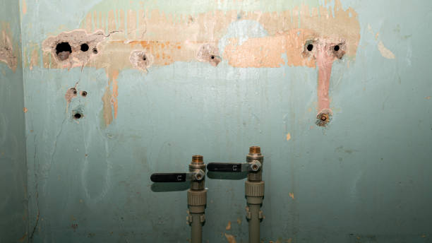 Best Water damage mitigation services  in Longtown, OK