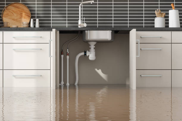 Best Water damage restoration experts  in Longtown, OK